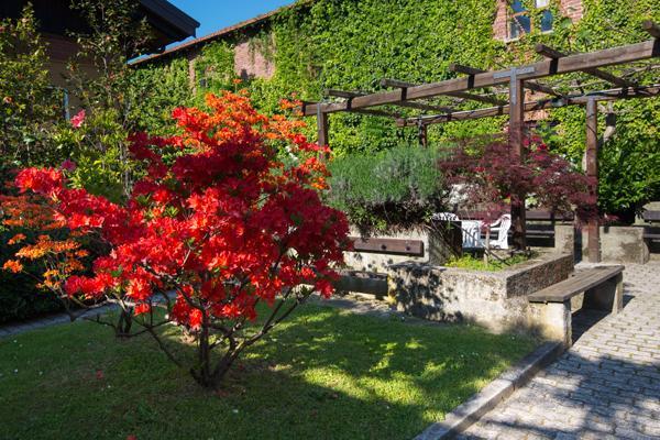 Hôtel Foresteria Valdese à Torre Pellice Extérieur photo